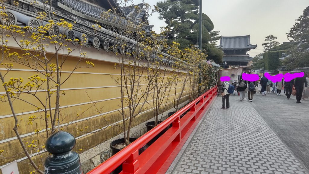 参道に植えてある花