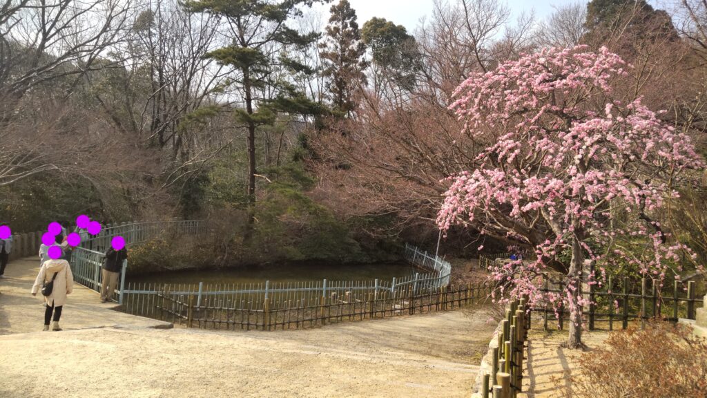 小さな広場の様子