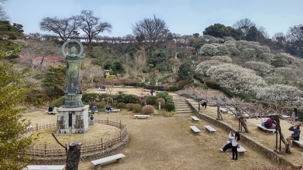 大広場の観音像と梅