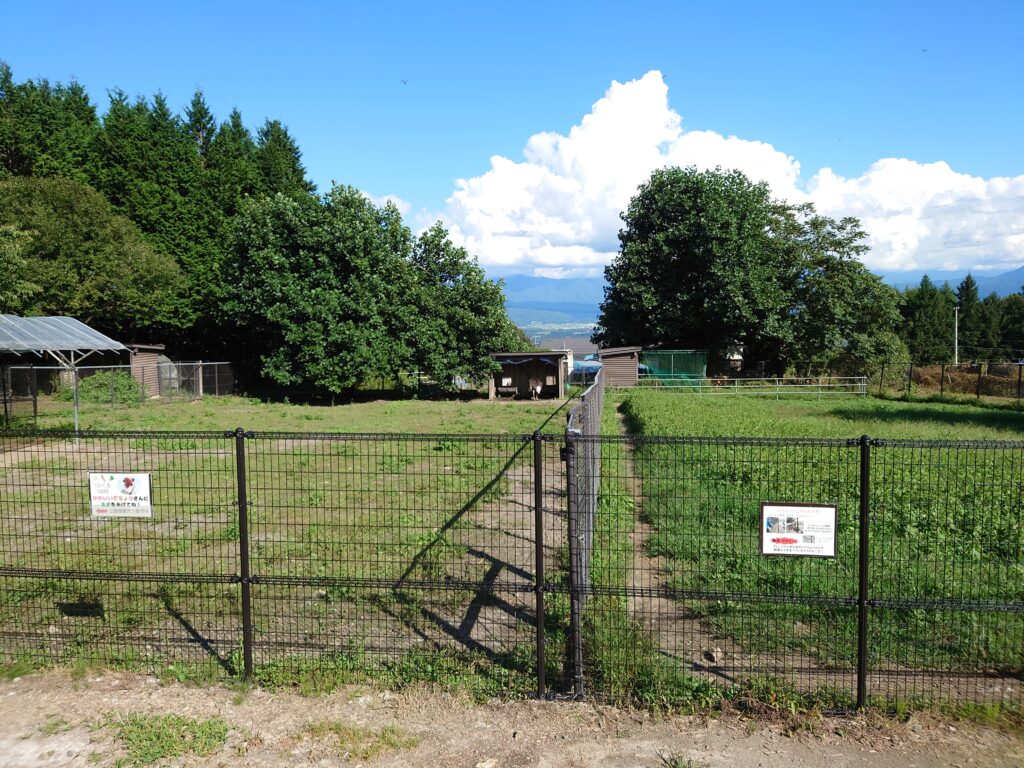 ダチョウ牧場の敷地