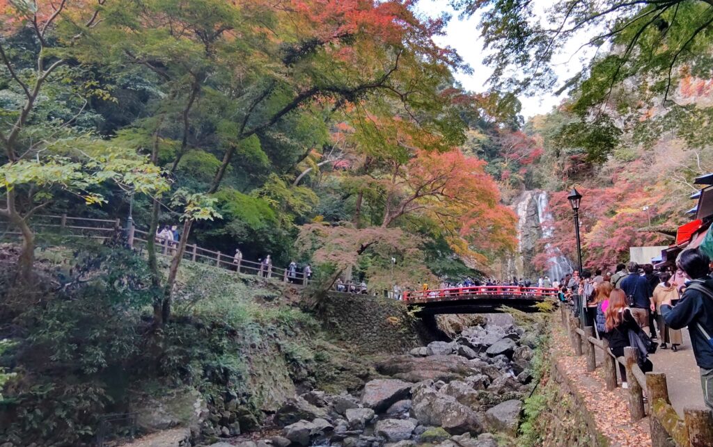 遠くから見える滝