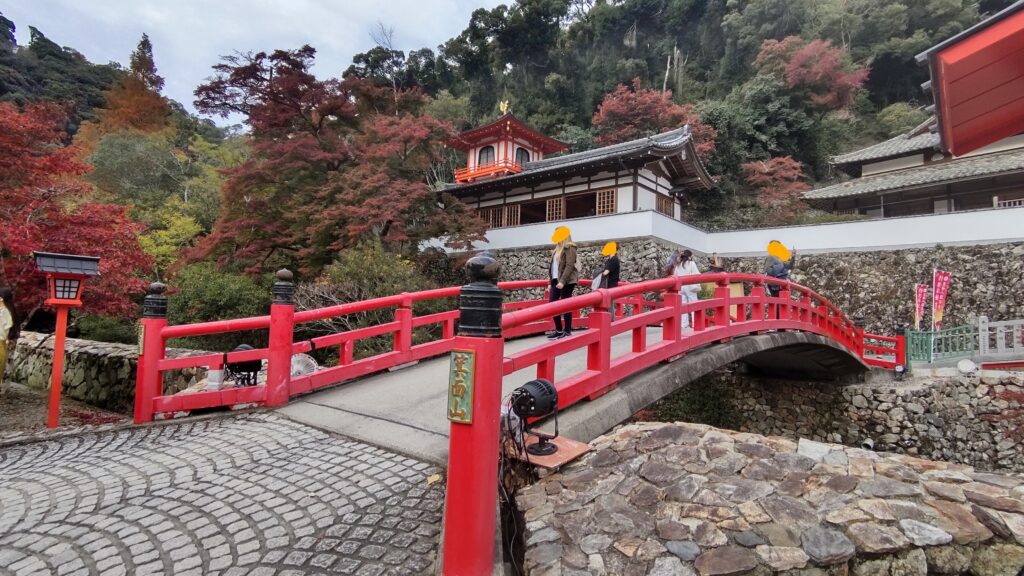 瀧安寺鳳凰閣と瑞雲橋と紅葉