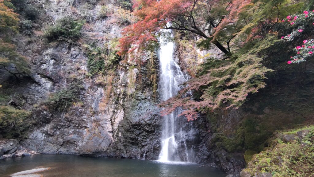 水しぶきを上げる水面