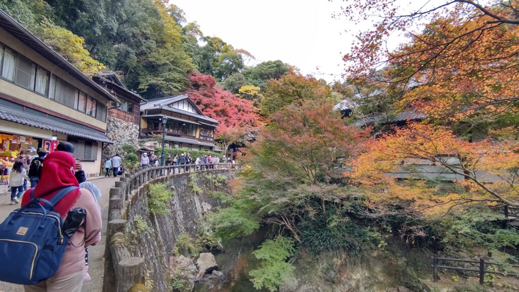 川沿いの紅葉