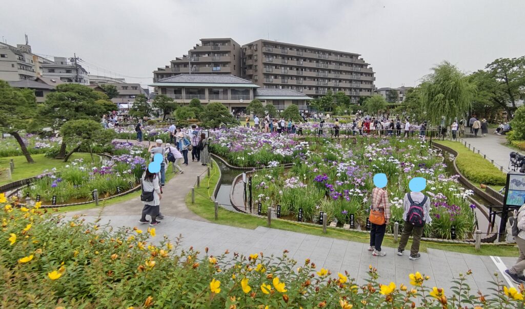 園内を見渡せる絶景スポット