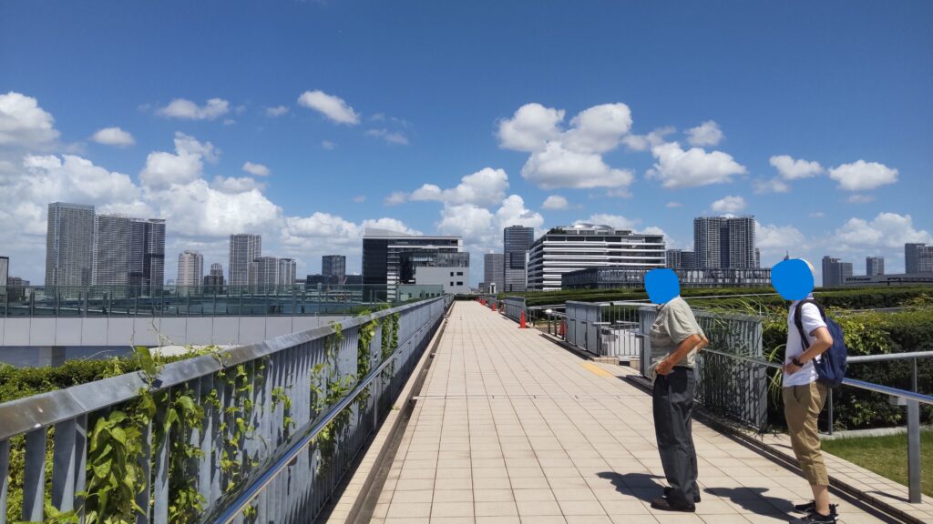 屋上緑化広場の歩道