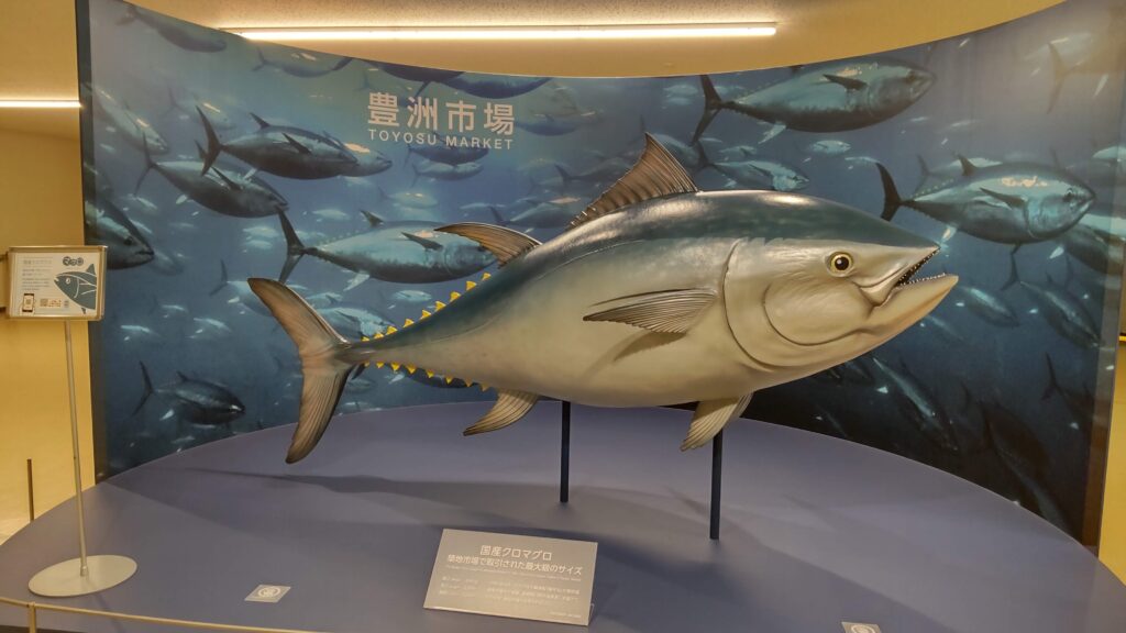 国産クロマグロのオブジェ