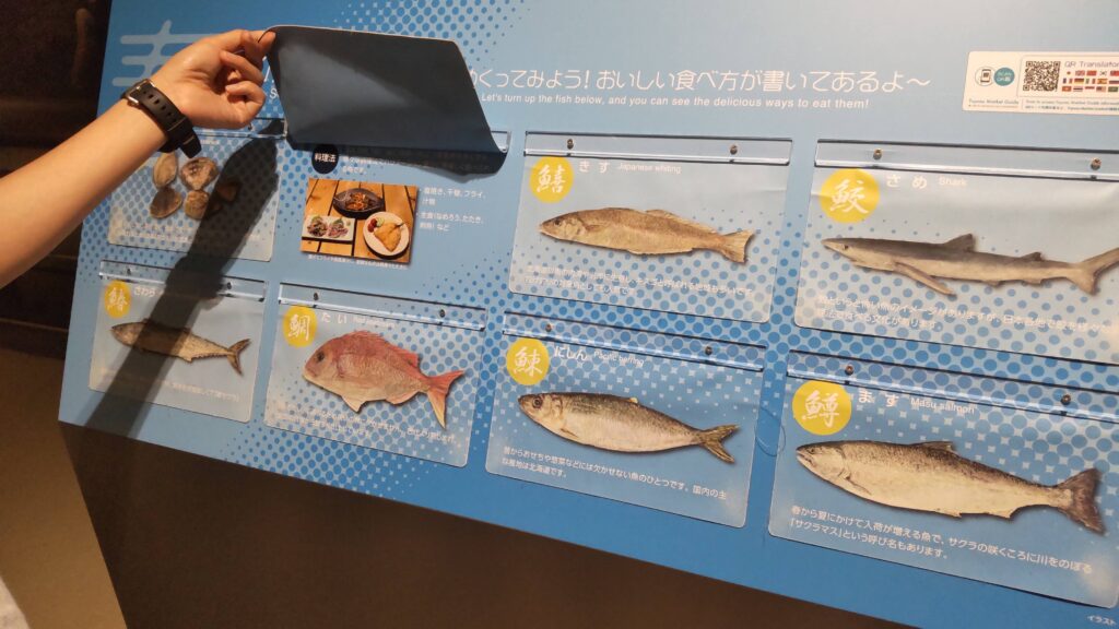 魚のおいしい食べ方