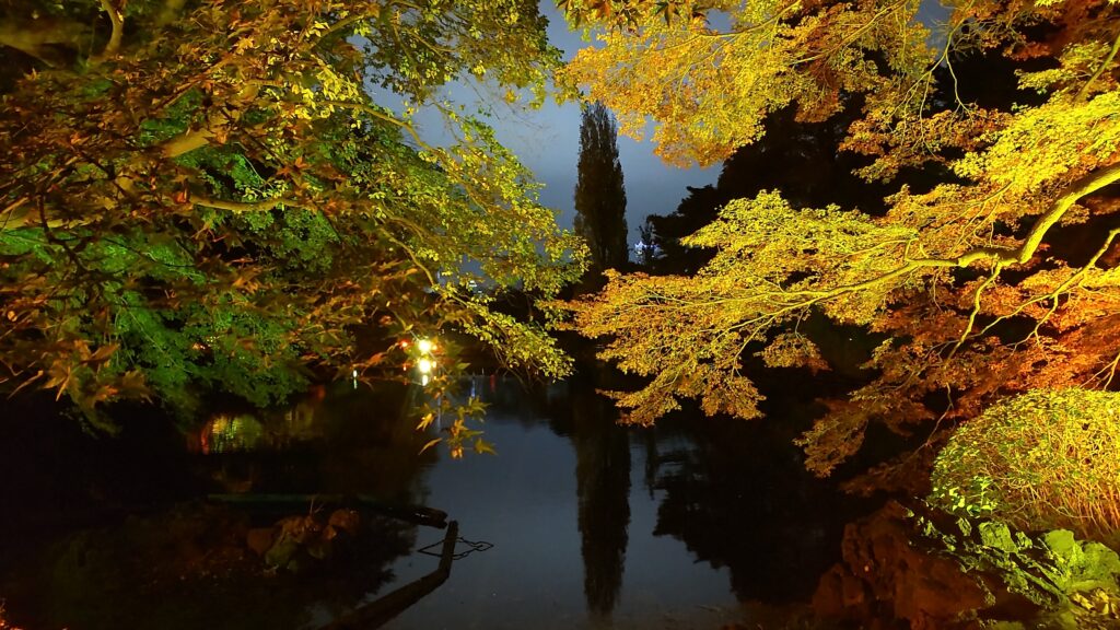 池に反射する紅葉