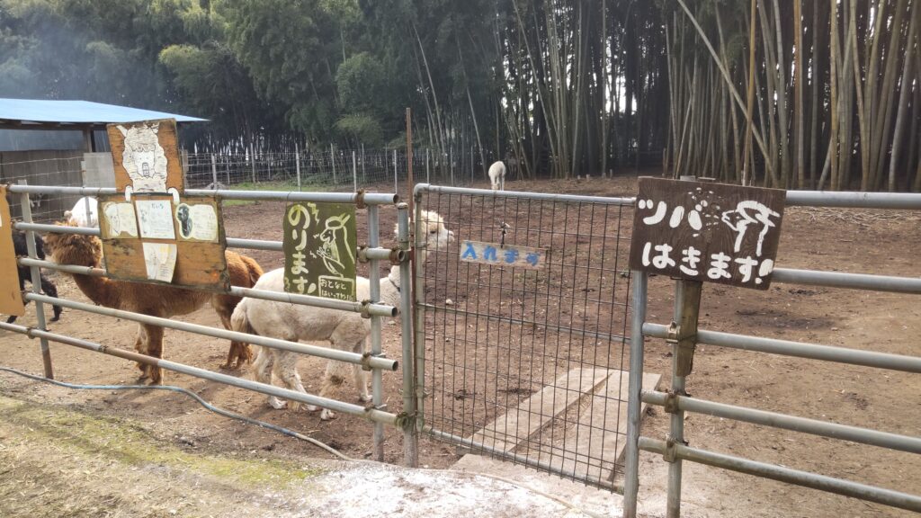 アルパカの注意喚起