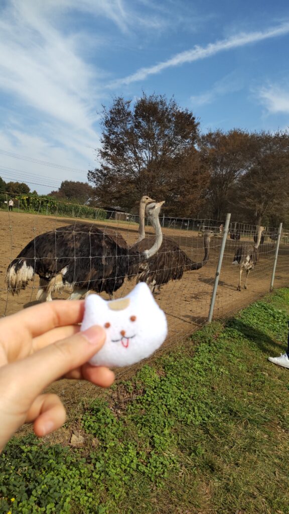 ネコけいちゃんマスコットと記念撮影