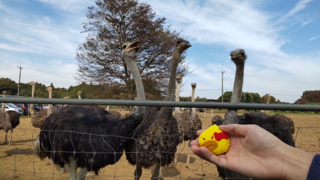 おゆき鳥マスコットと記念撮影