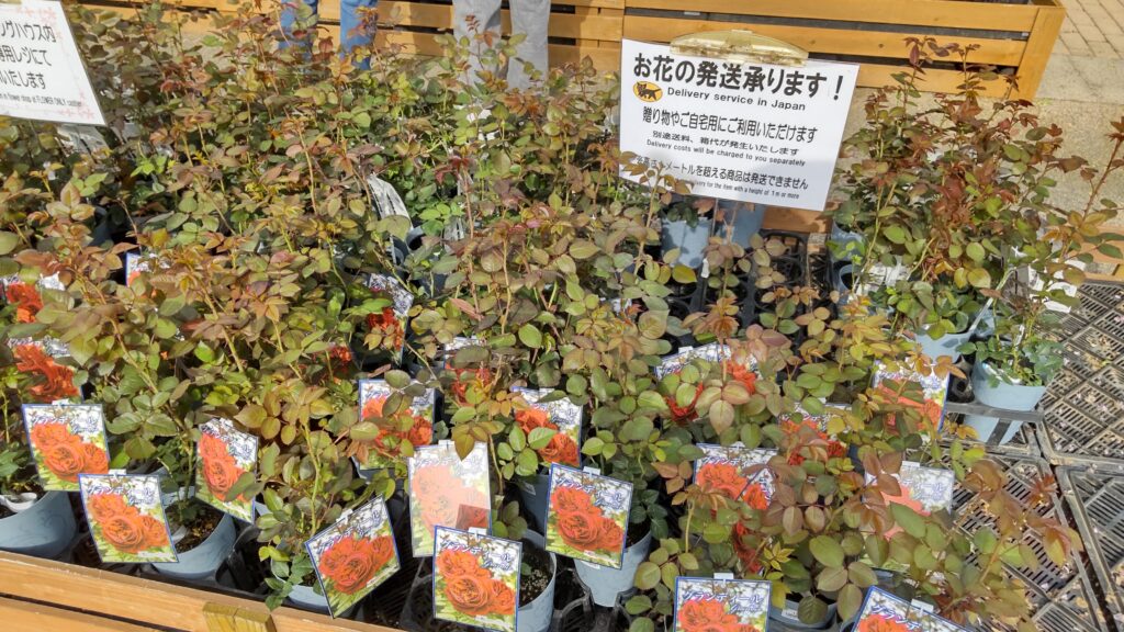 花の発送受付