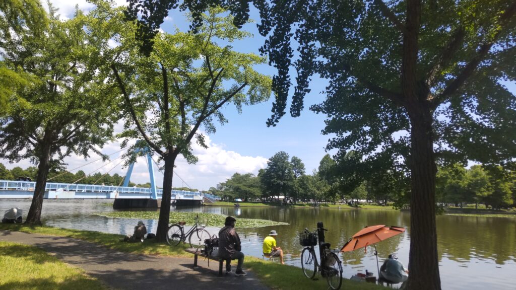 小合溜と水元大橋