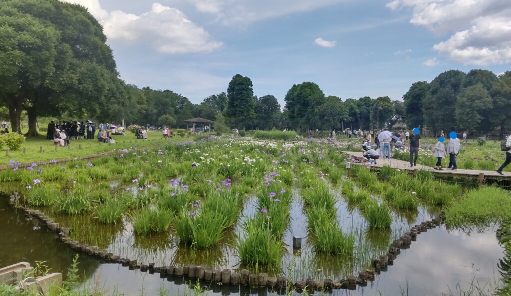 花の風景２