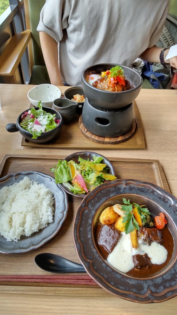 黒毛和牛のブラウンシチューと石焼ハンバーグご飯