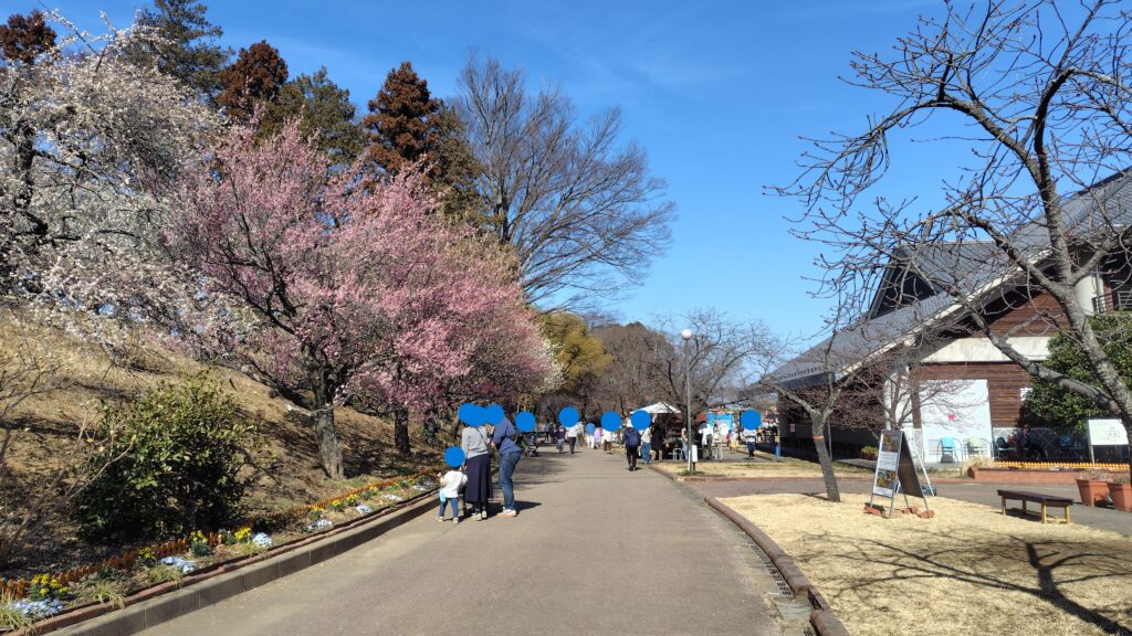 梅園と広場