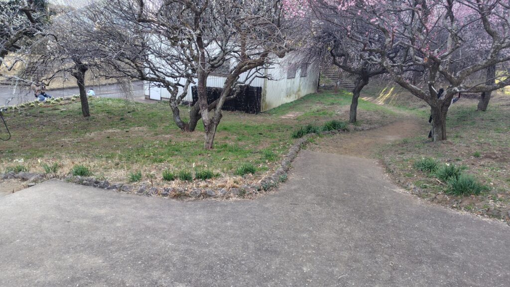 散策路との合流地点