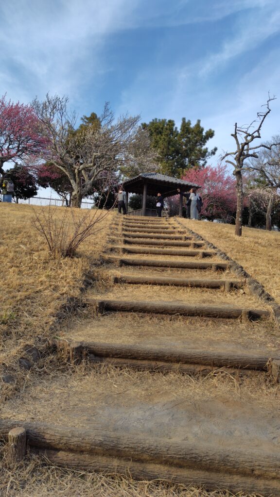 上段への階段