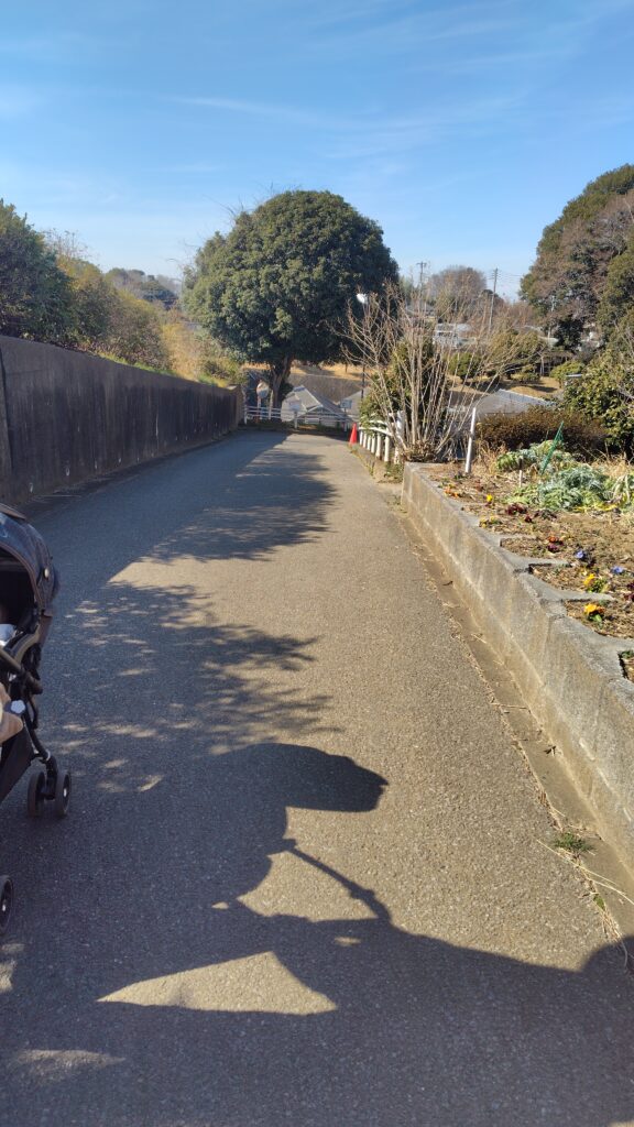 本館ヨコの道